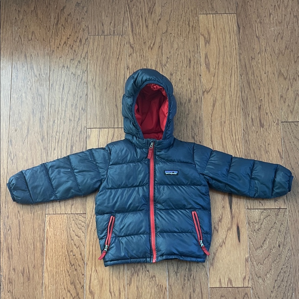 Patagonia Hi-Loft Down Sweater Hoody